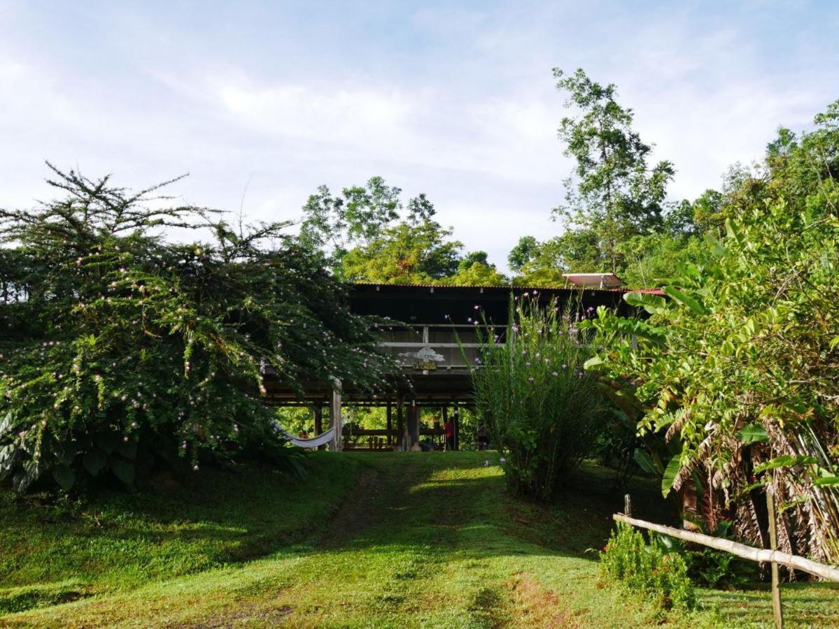Albergue La Laguna Puerto Jimenez Luaran gambar