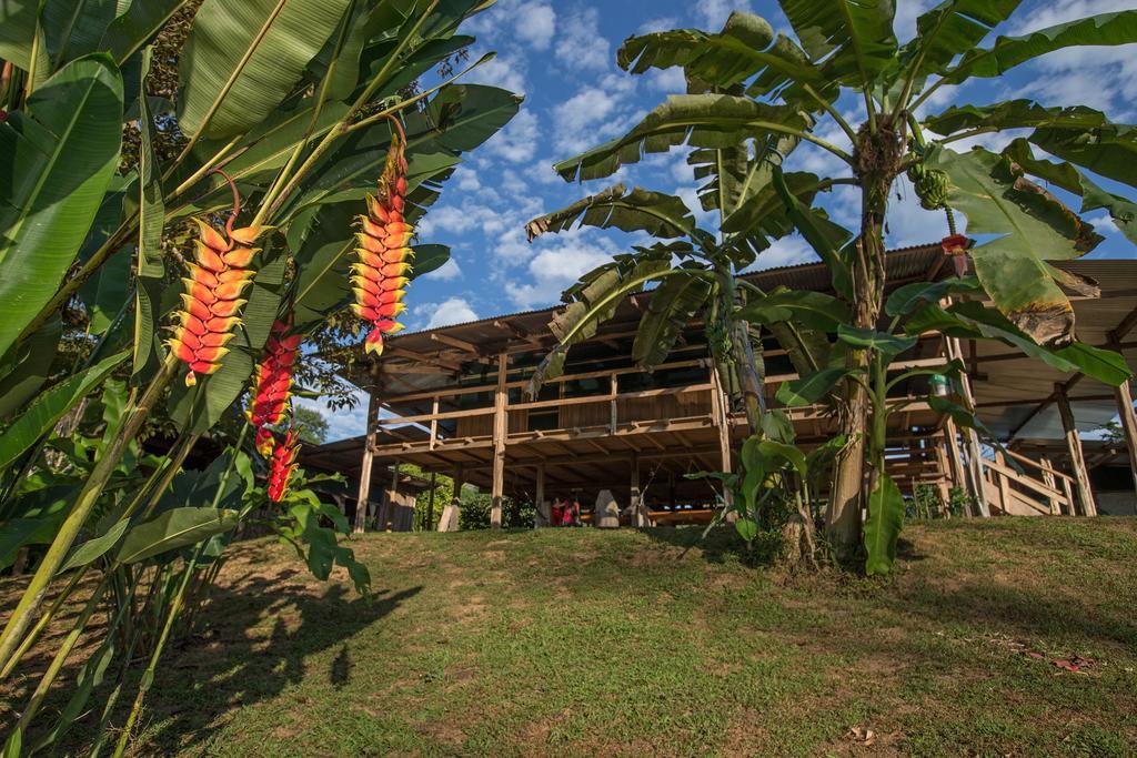 Albergue La Laguna Puerto Jimenez Luaran gambar