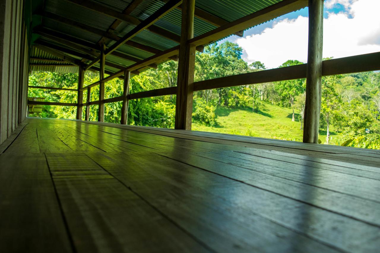 Albergue La Laguna Puerto Jimenez Luaran gambar